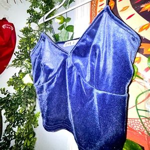 Velvet Crop Top